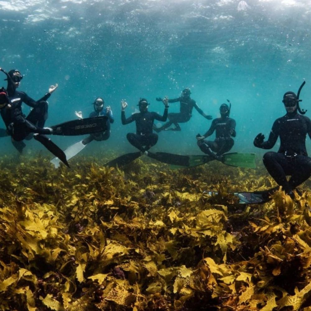 Beginner Freediving Course