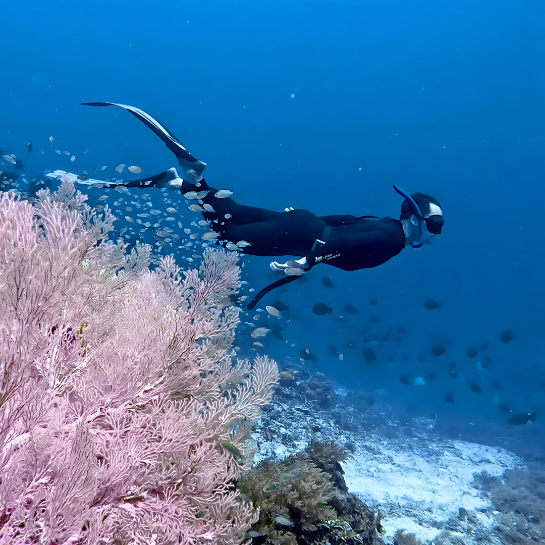 Raja Ampat Freediving Liveaboard