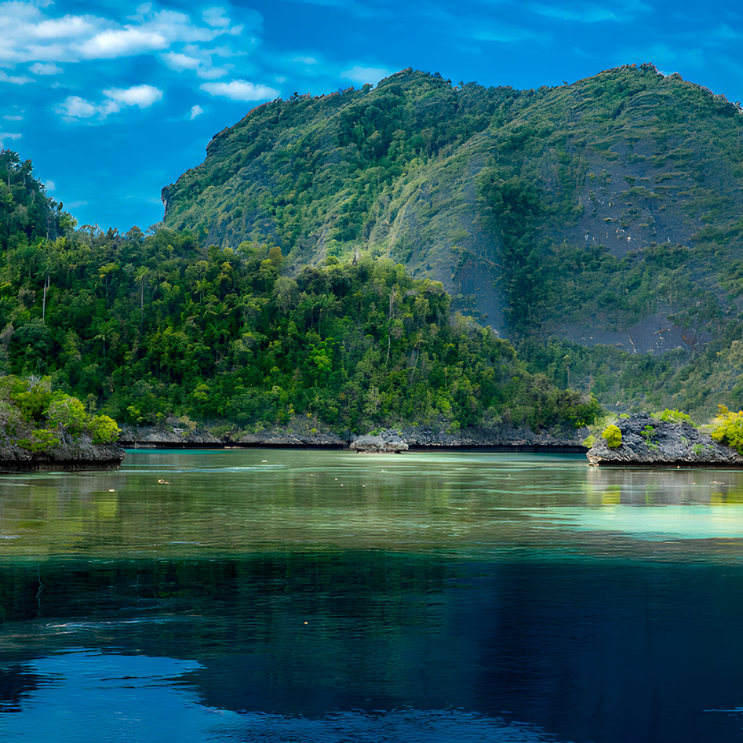Raja Ampat Freediving Liveaboard