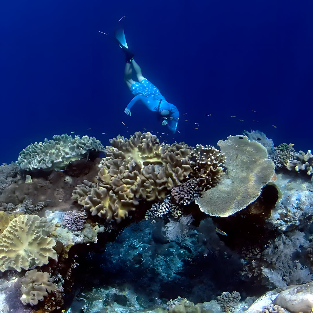 Raja Ampat Freediving Liveaboard