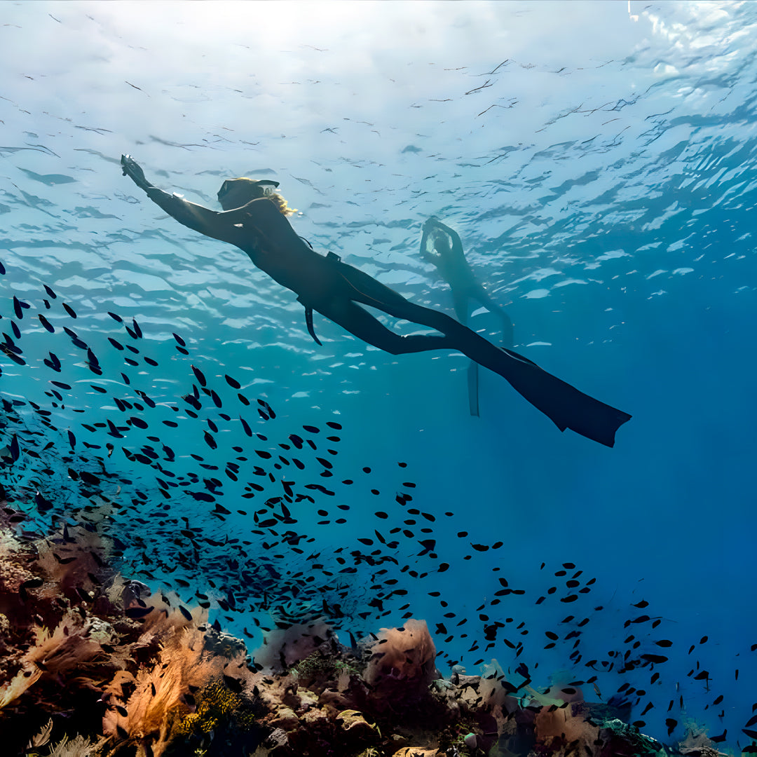 Raja Ampat Freediving Liveaboard