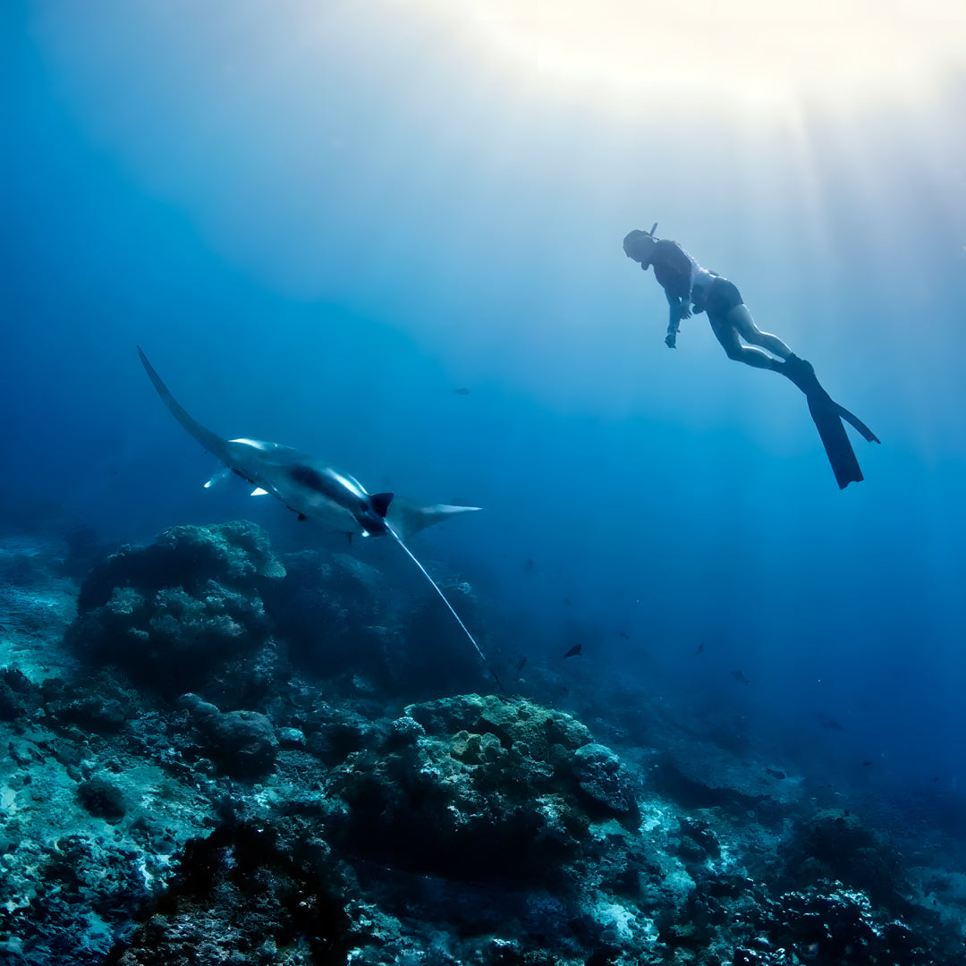 Raja Ampat Freediving Liveaboard