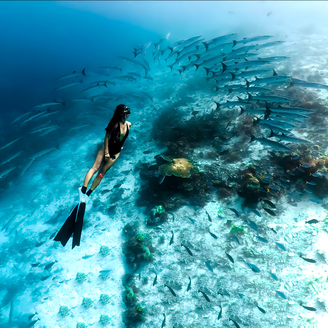 Raja Ampat Freediving Liveaboard