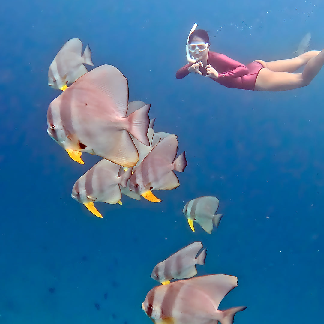 Raja Ampat Freediving Liveaboard