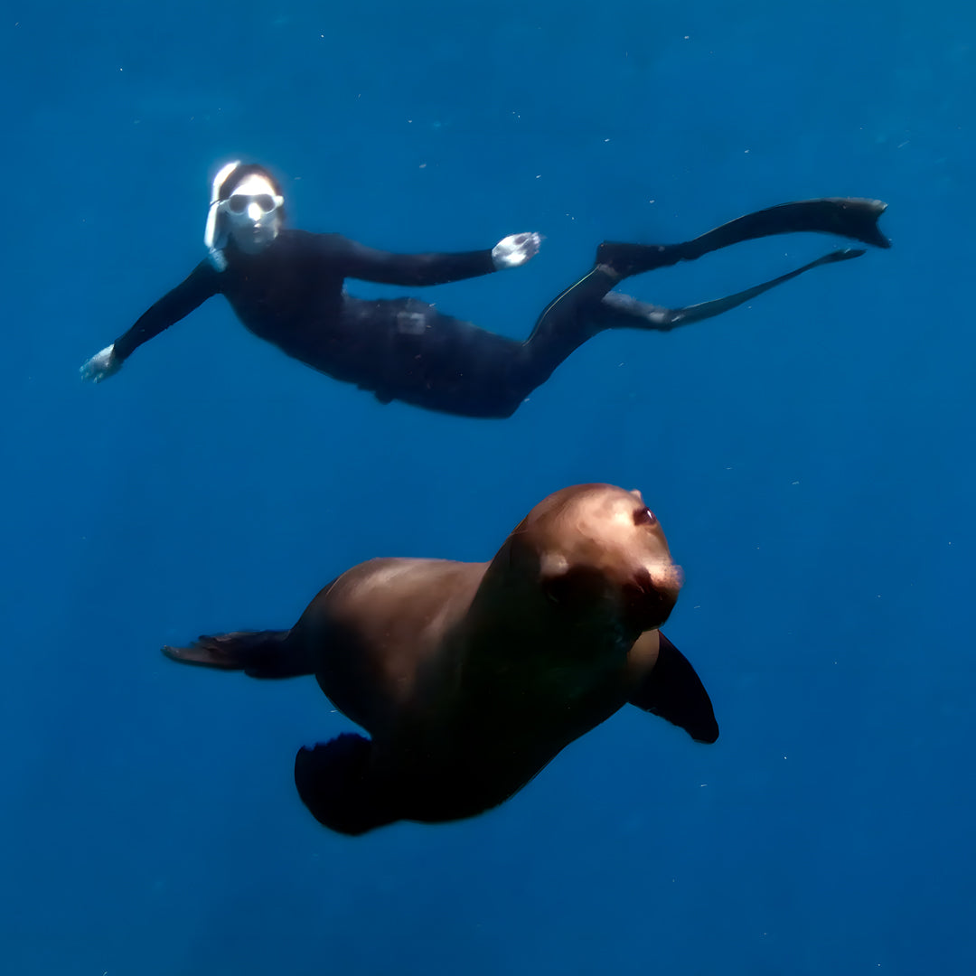Raja Ampat Freediving Liveaboard