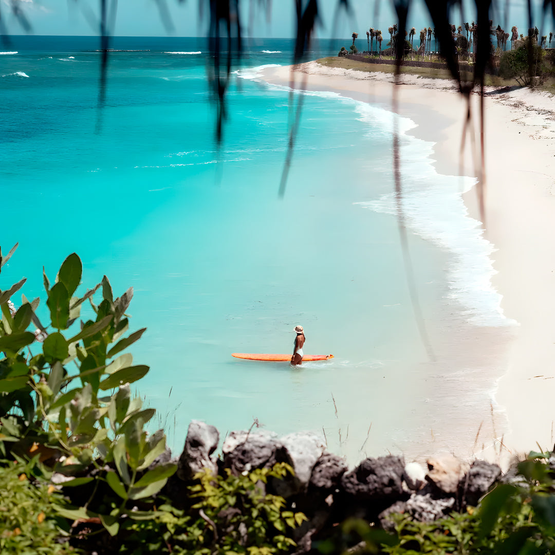 Rote Island Surf & Freediving Retreat