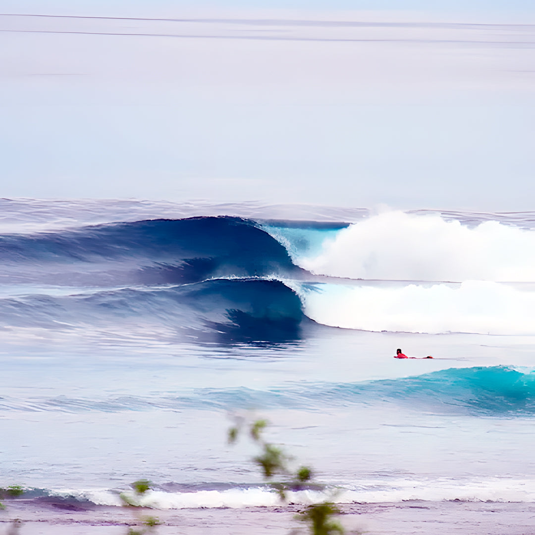 Rote Island Surf & Freediving Retreat