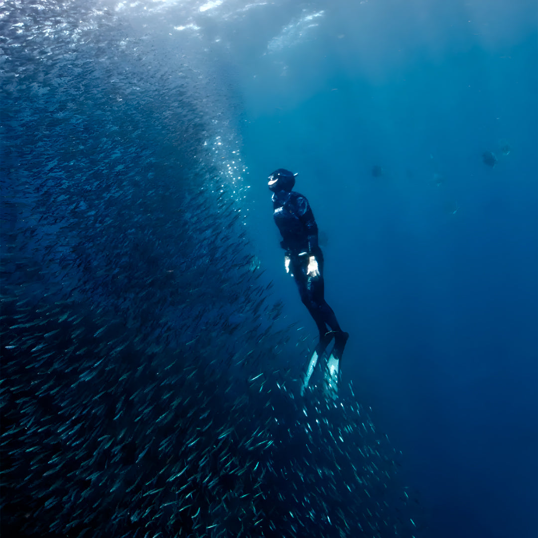 Rote Island Surf & Freediving Retreat