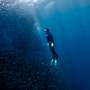 Rote Island Surf & Freediving Retreat