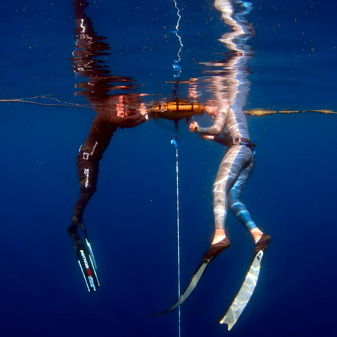 Rote Island Surf & Freediving Retreat