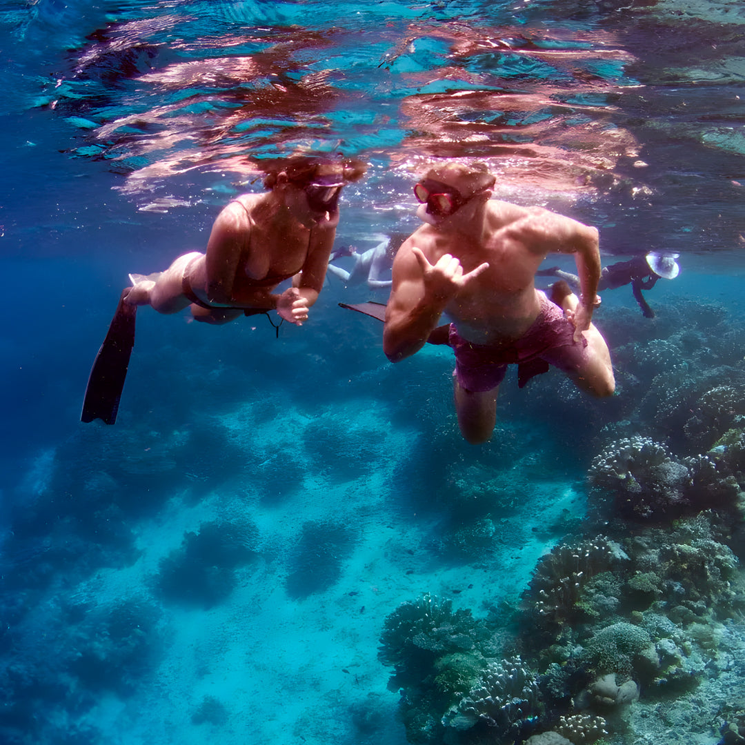 Rote Island Surf & Freediving Retreat