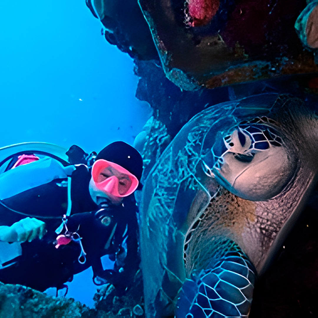Lembeh Strait Muck Scuba Diving Trip
