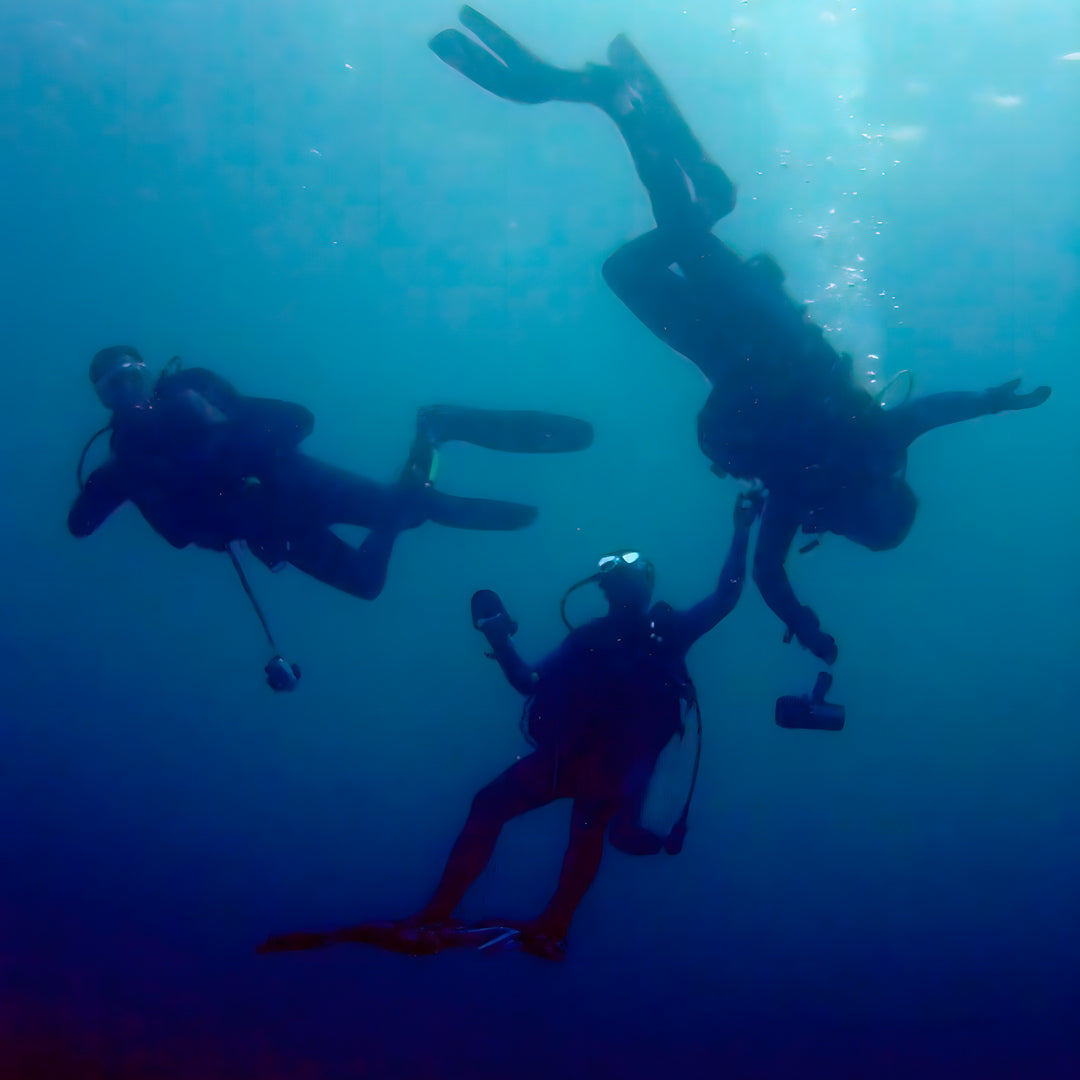 Manado Island Scuba Diving Trip