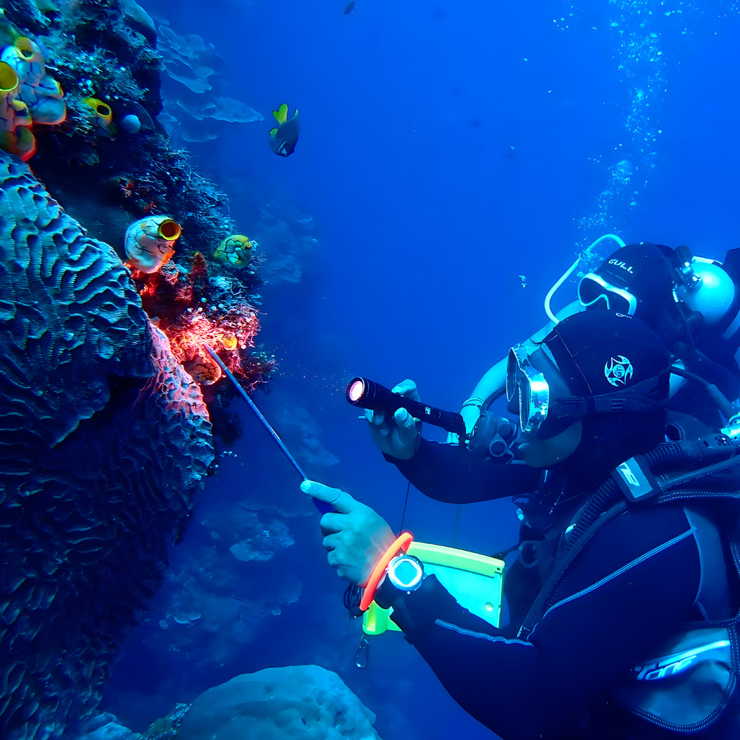 Manado Island Scuba Diving Trip