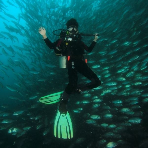 Anilao - Tubbataha Scuba Diving Liveaboard