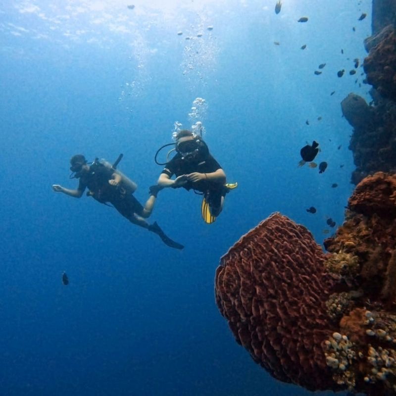 Advanced Open Water Diver Course in Bali Amed Dive Explorer