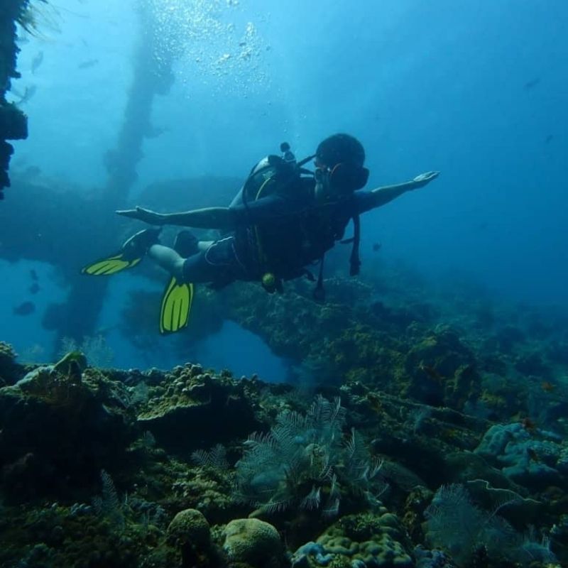 Introductory Scuba Dive in Jemeluk Bay Amed Dive Explorer