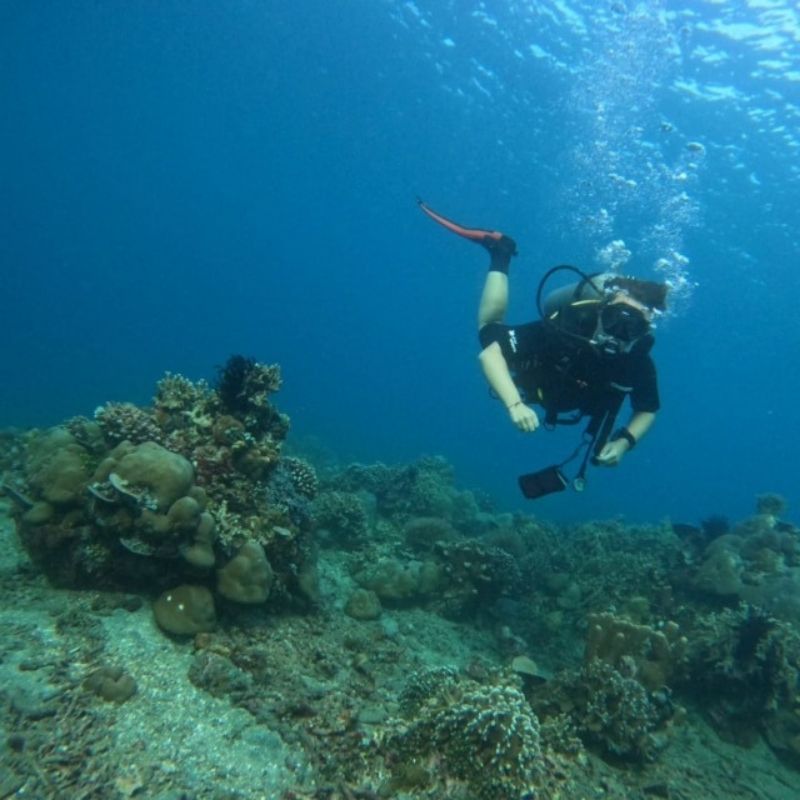 Introductory Scuba Dive in Jemeluk Bay Amed Dive Explorer