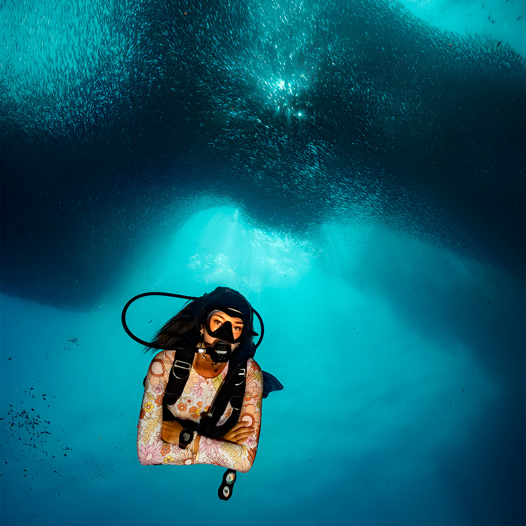 Moalboal Sardine Run Fun Dive