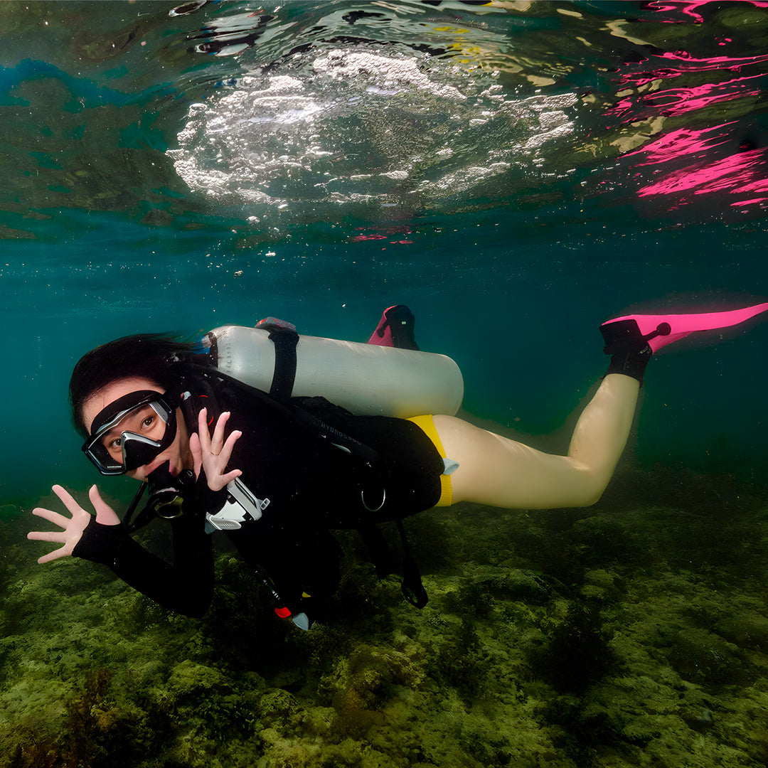 Moalboal Sardine Run Fun Dive