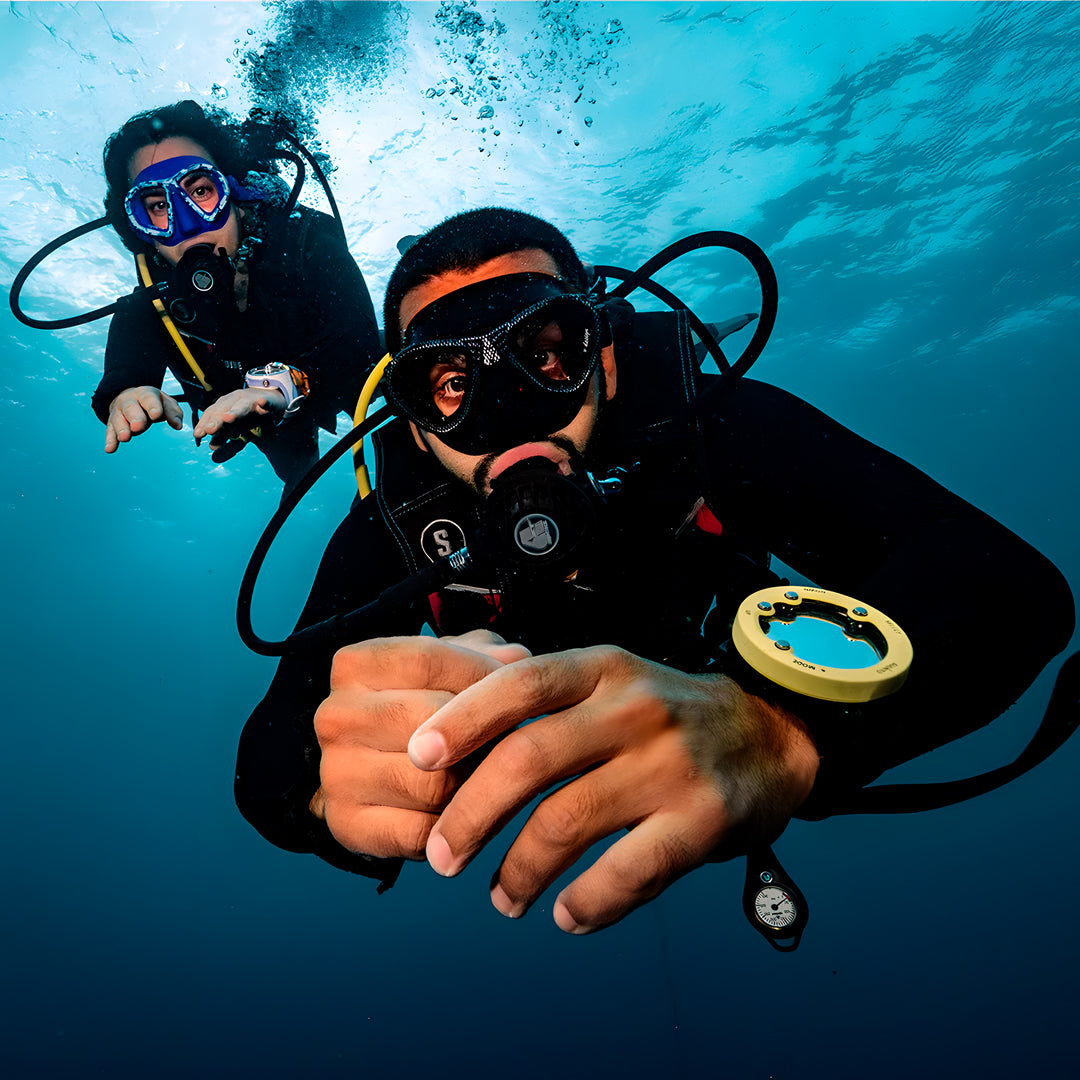 Moalboal Sardine Run Fun Dive