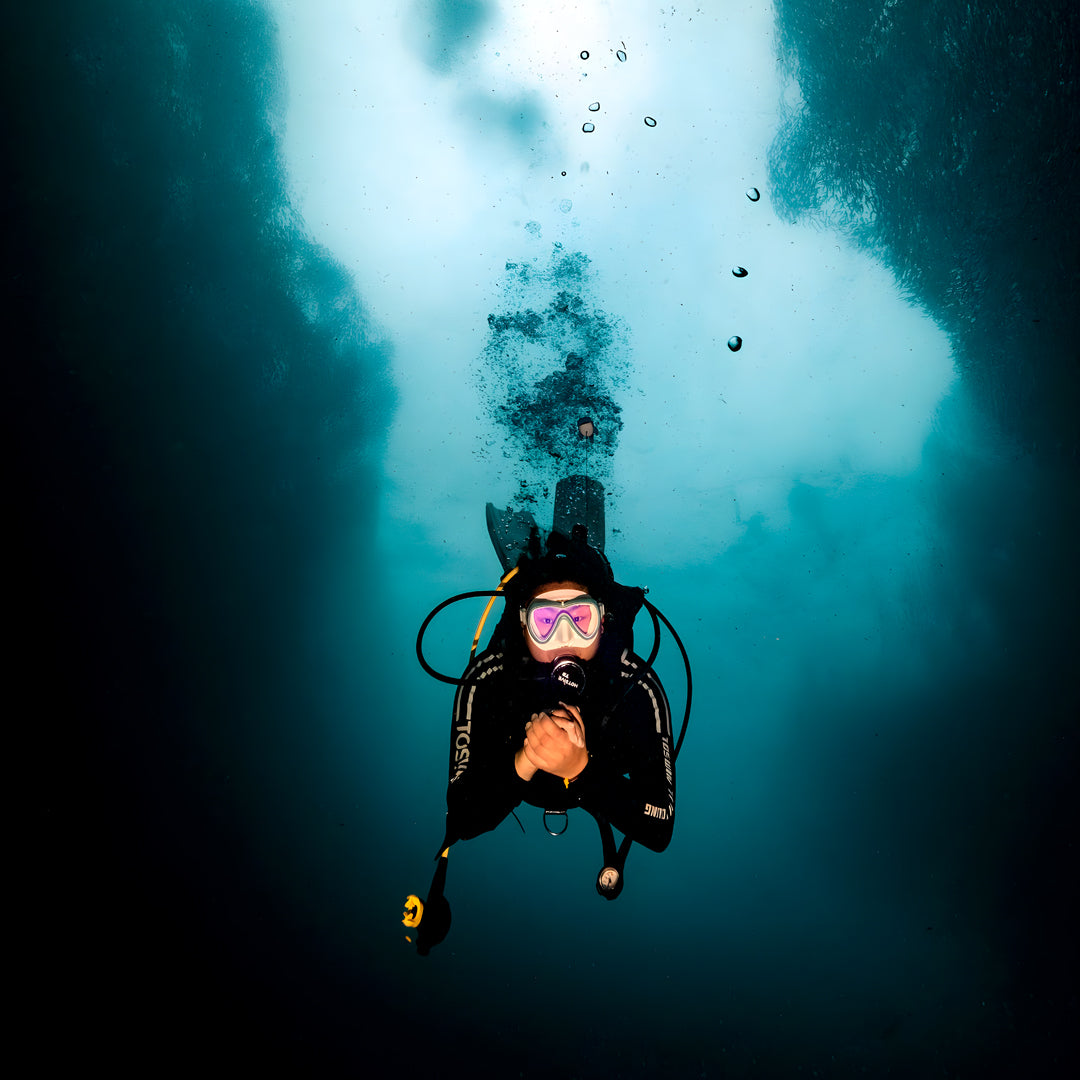 Moalboal Sardine Run Fun Dive
