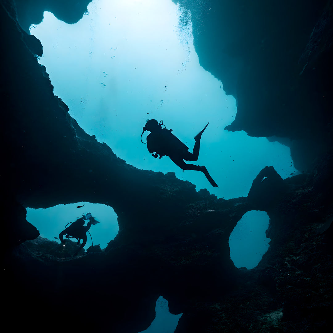 Moalboal Sardine Run Fun Dive
