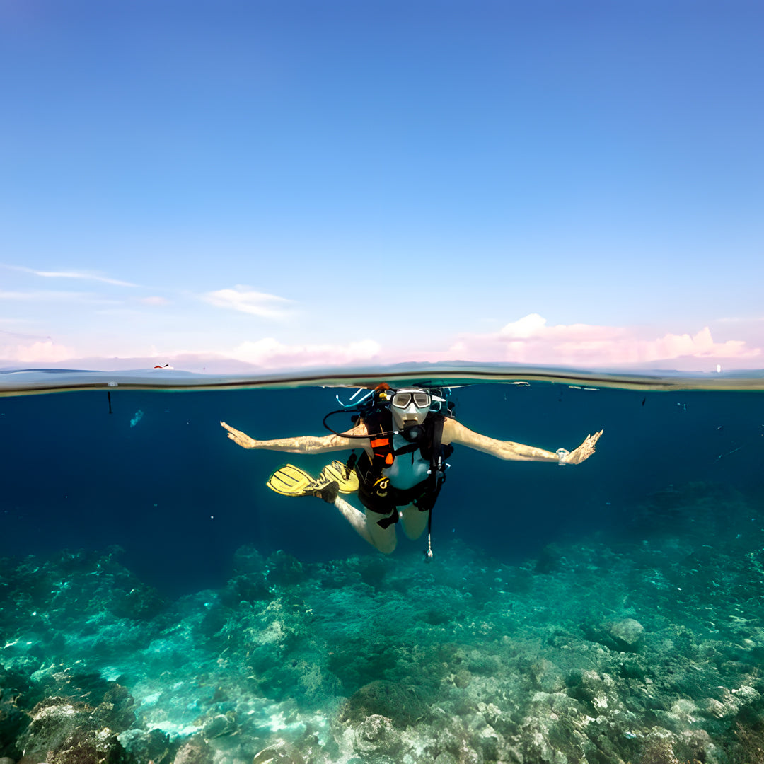 Moalboal Sardine Run Fun Dive