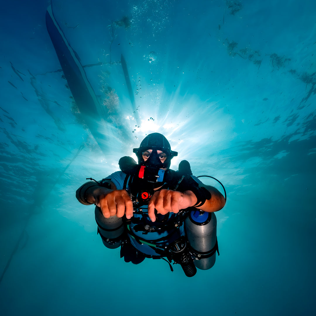 Moalboal Sardine Run Fun Dive