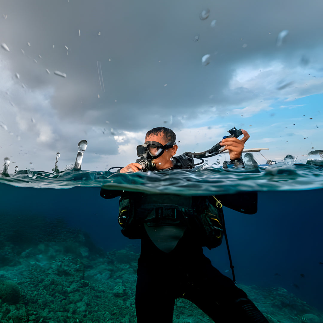 Moalboal Sardine Run Fun Dive