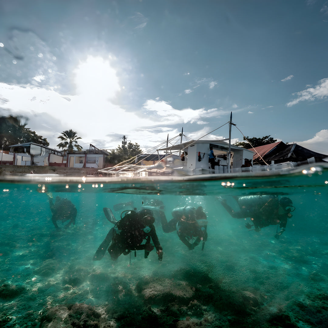 Moalboal Sardine Run Fun Dive