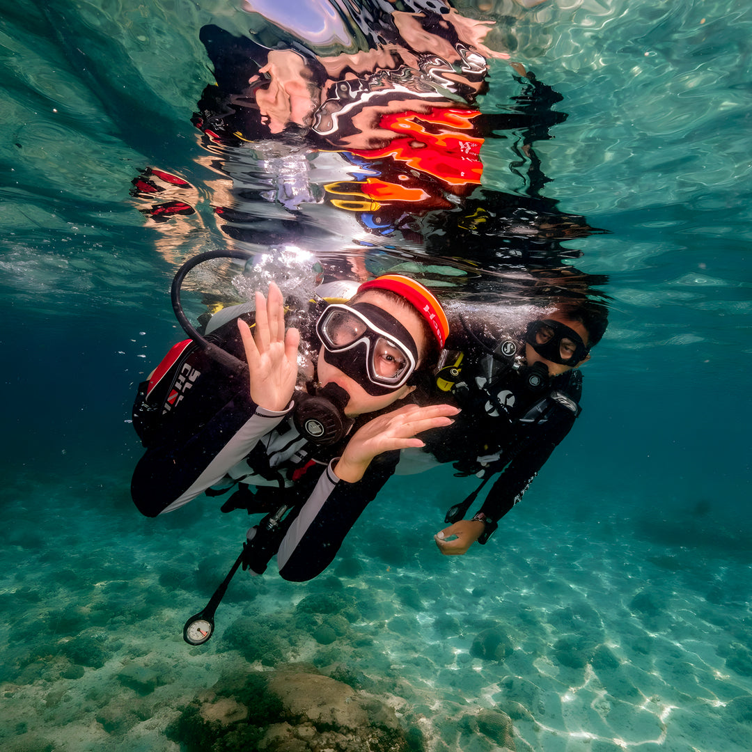 Moalboal Sardine Run Fun Dive
