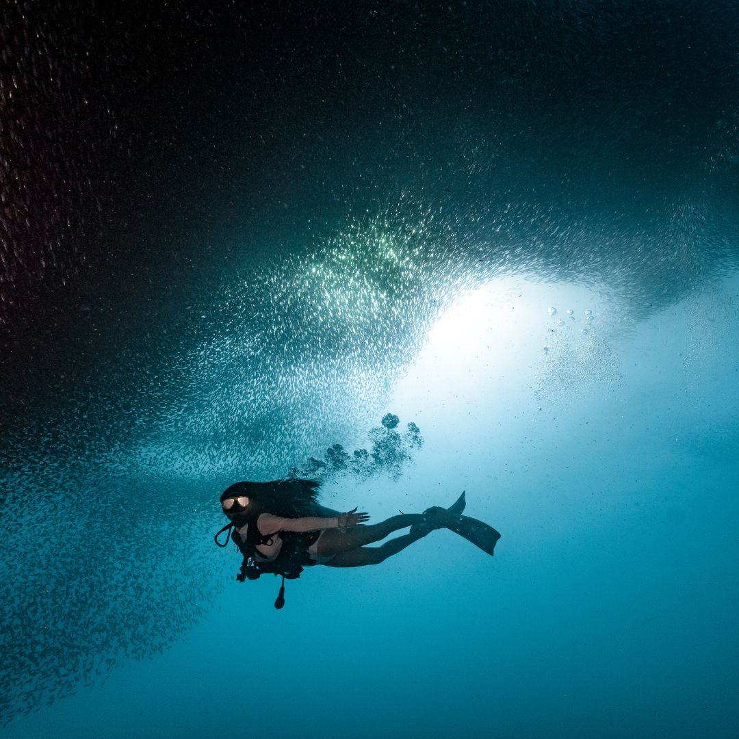 Discover Scuba Diving in Moalboal