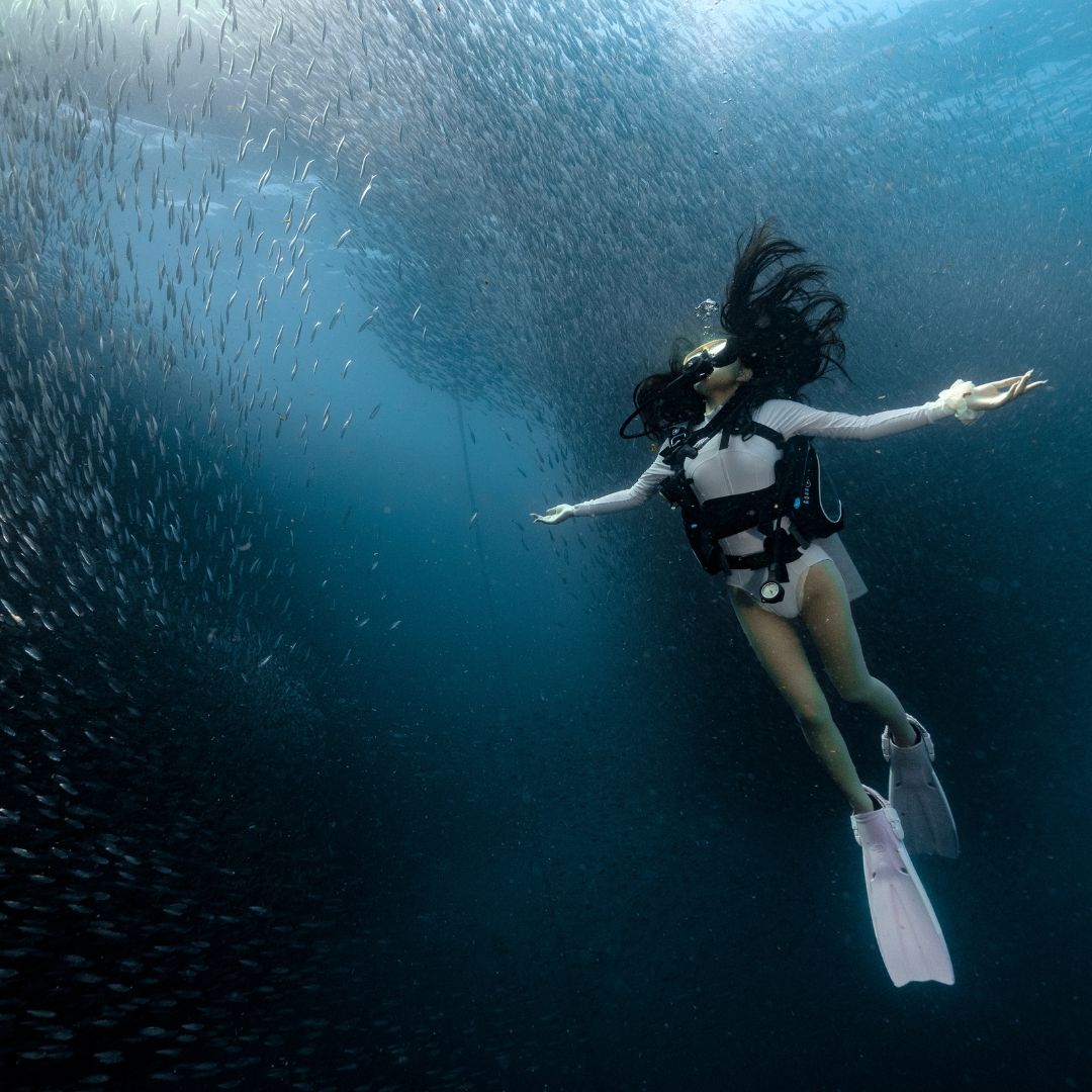 Discover Scuba Diving in Moalboal