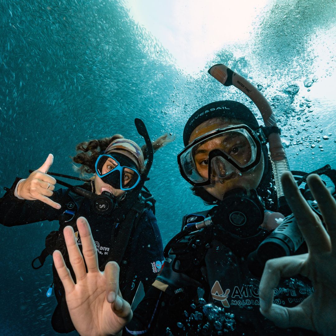 Open Water Scuba Diving Course in Moalboal