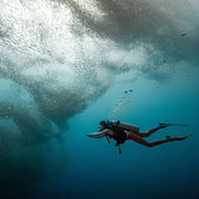 Try Scuba Diving in Moalboal