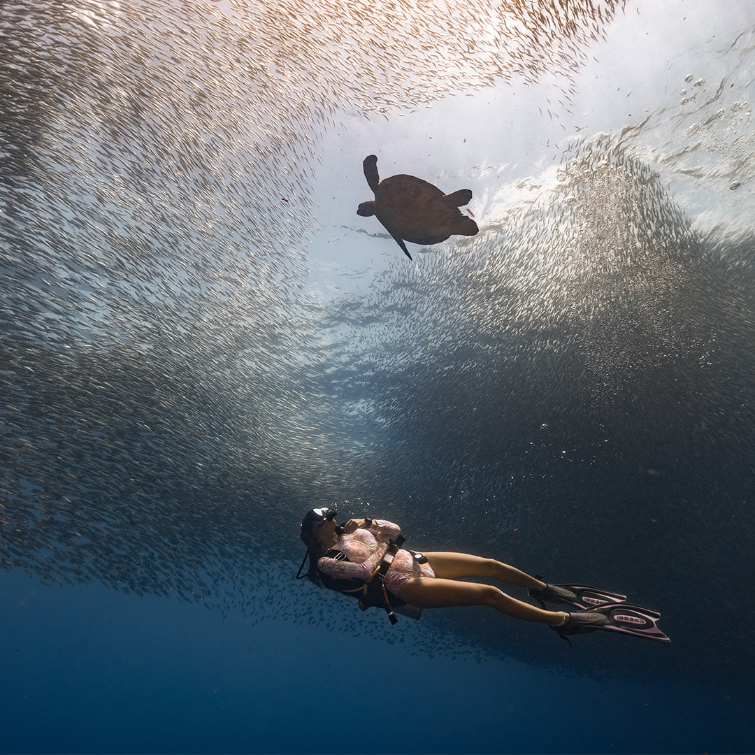 Moalboal Advanced Open Water Scuba Diving Course