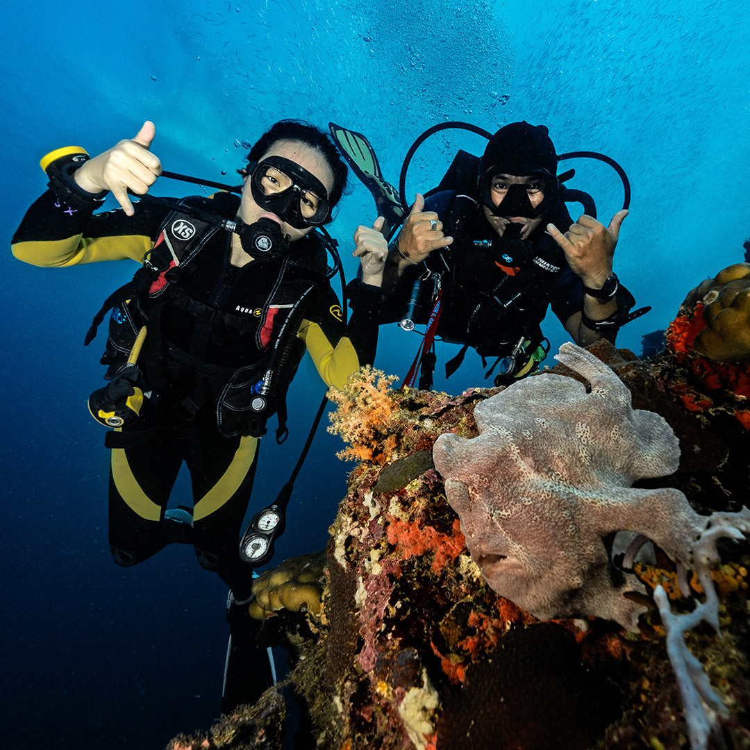 Moalboal Advanced Open Water Scuba Diving Course