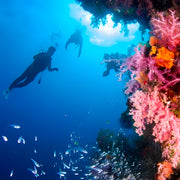 Advanced Open Water Course in Khao Lak
