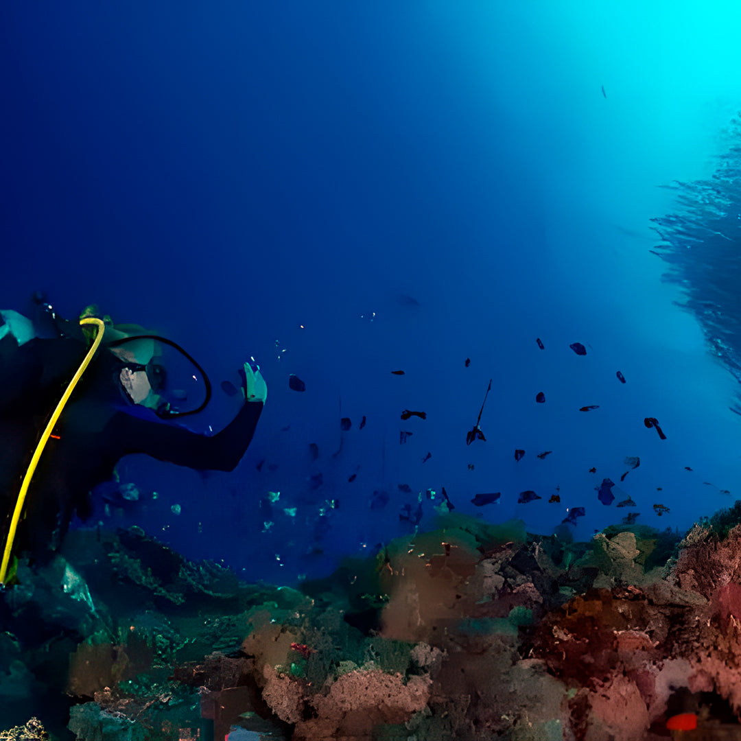 Discover North Andaman Sea Scuba Diving Liveaboard