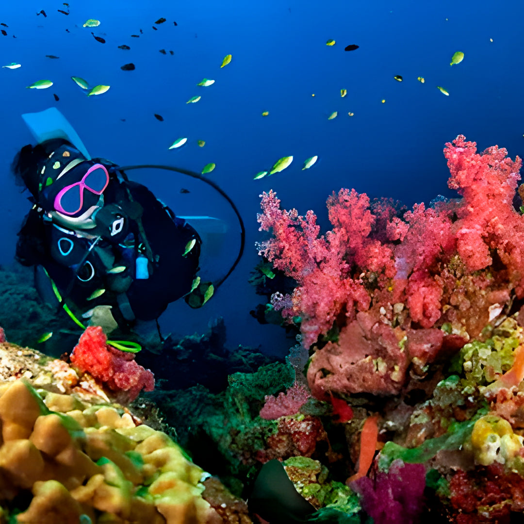 Discover Scuba Diving in Khao Lak