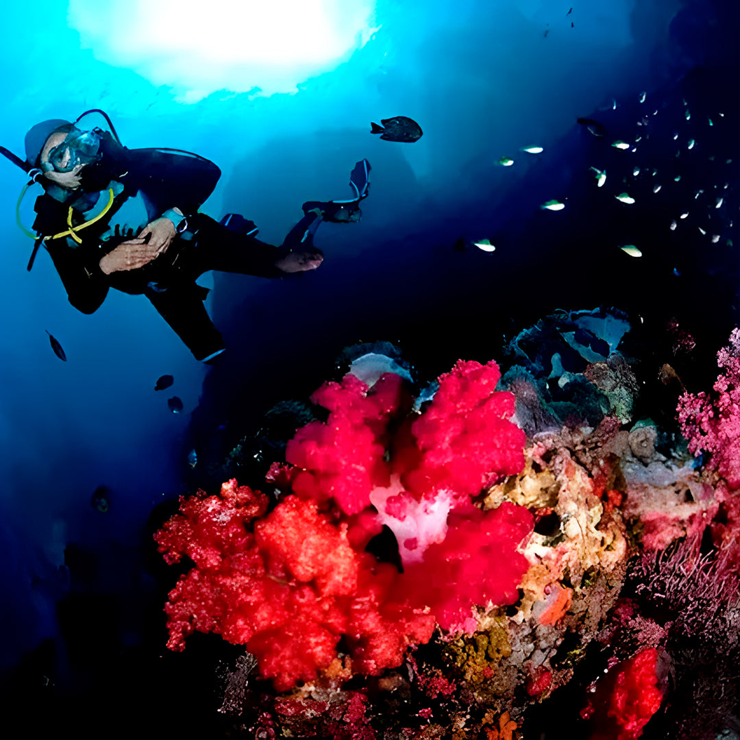 Khao Lak Scuba Diving Refresher Course