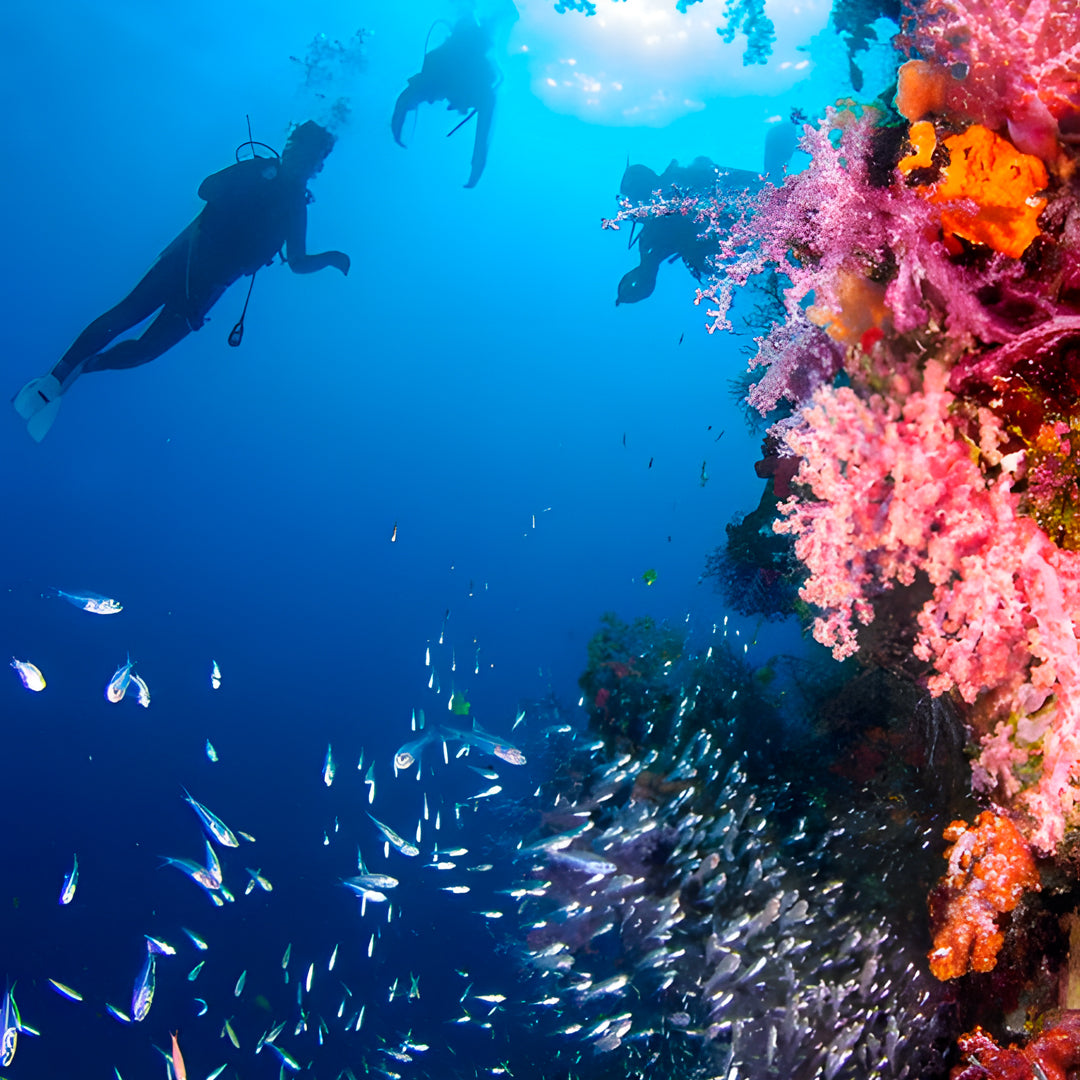 Khao Lak Scuba Diving Refresher Course