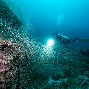Open Water Course in Khao Lak