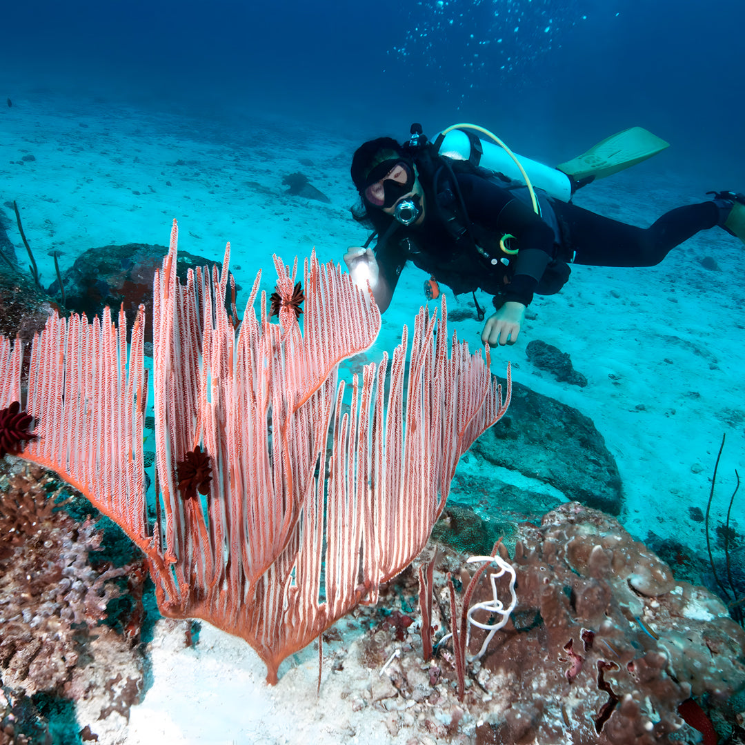 Open Water Course in Khao Lak