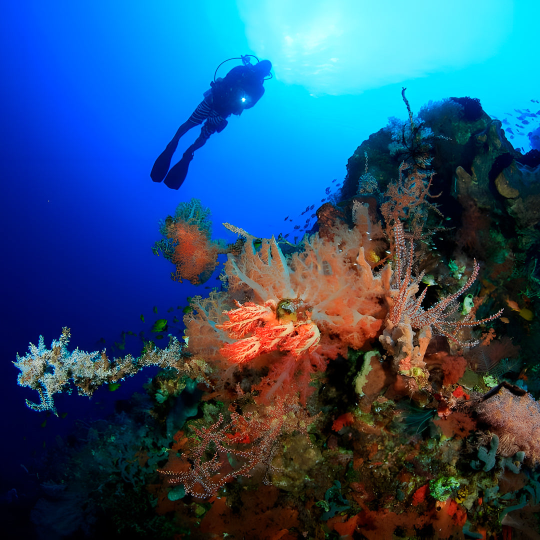 Open Water Course in Khao Lak