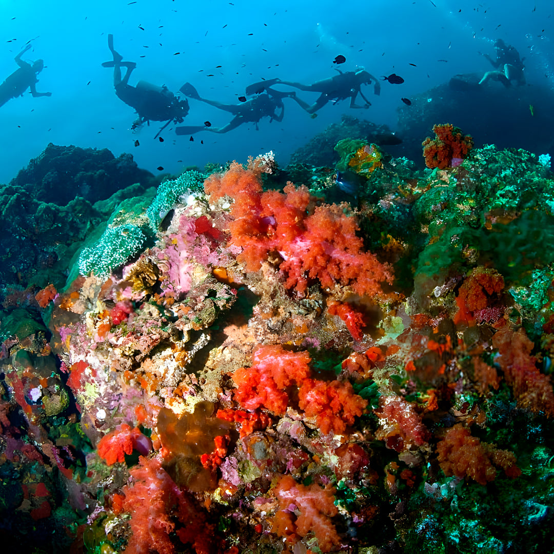 Open Water Course in Khao Lak