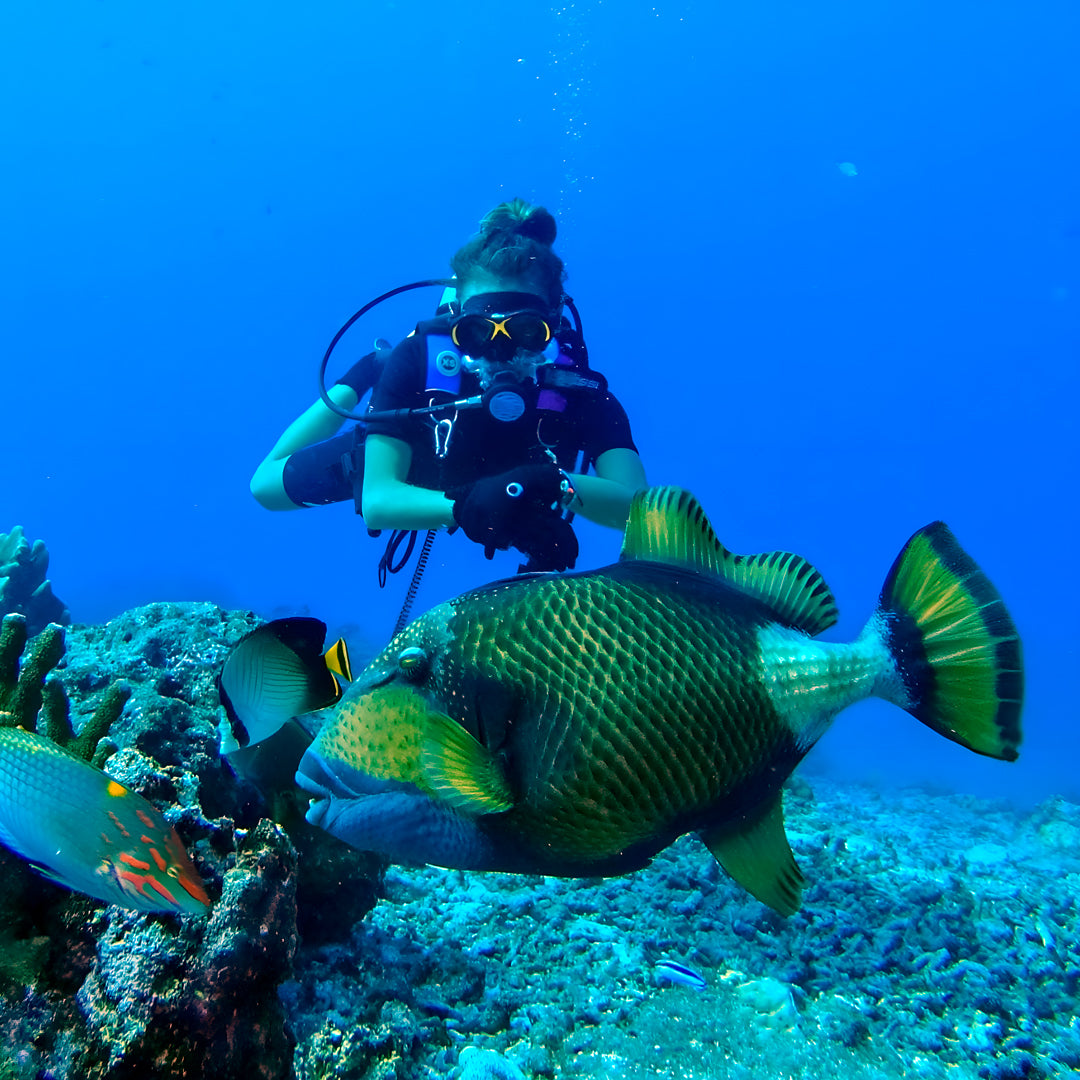 Open Water Course in Khao Lak
