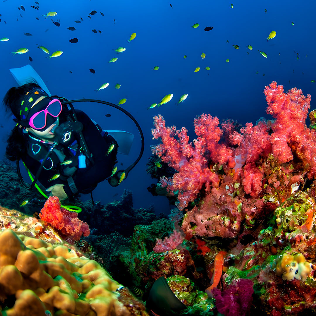 Similan Scuba Diving Nitrox Course