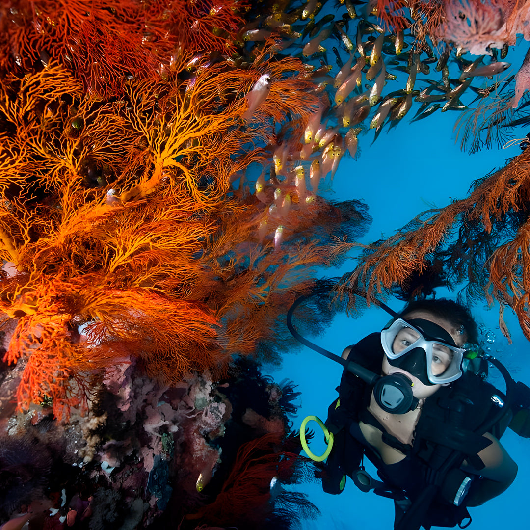 Similan Scuba Diving Nitrox Course
